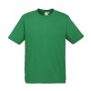T10032 Men's Ice Tee shirt green