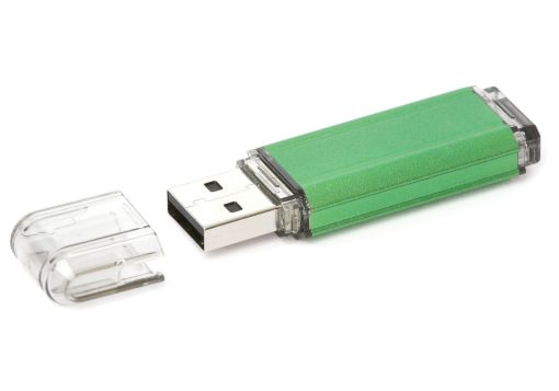 Standard Crow USB Flash Drive